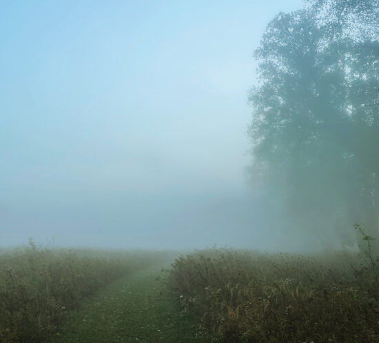 Seth Guge Chasing Fog